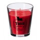 VELA AROMÁTICA FRUTOS ROJOS