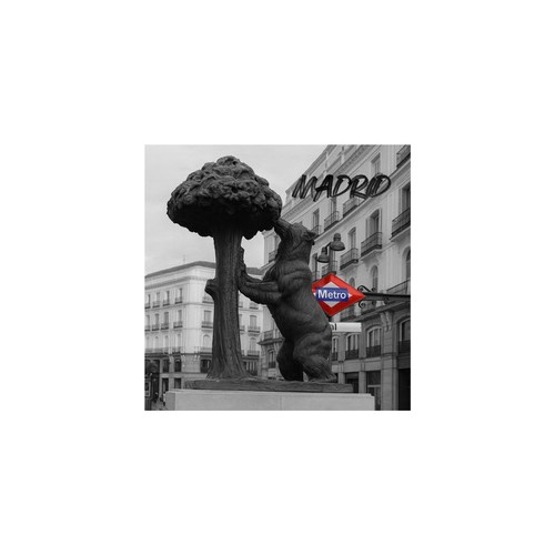 IMAN CER. CUADRADO MADRID OSO Y MADROÑO 2